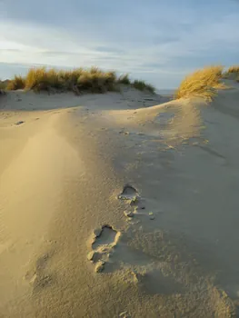 Oostnieuwkerke duinen wandeling in de koude (België)